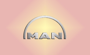 ✓ MAN 51.01113.6077 Запчасти МАН (MAN) 