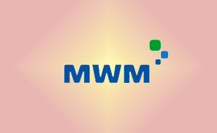 ✓ MWM 0403 3029 Запчасть MWM 